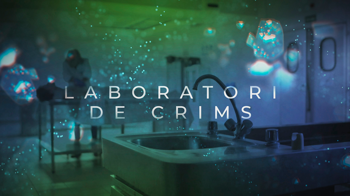 Laboratori de crims