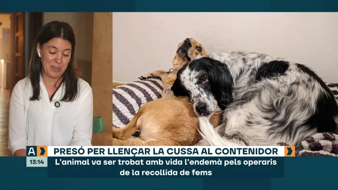 ARA MATEIX