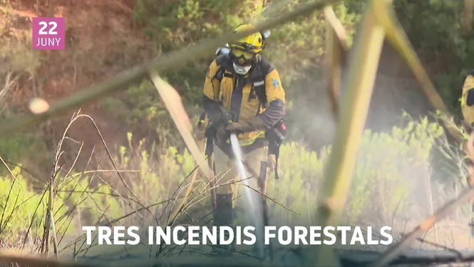 IB3 NOTÍCIES VESPRE