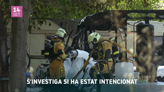 IB3 NOTÍCIES 14/10/26