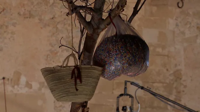 Especial Sant Antoni 2024: Pi de Pollença
