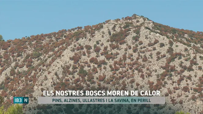 IB3 NOTÍCIES CAP DE SETMANA MIGDIA 26/09/2026