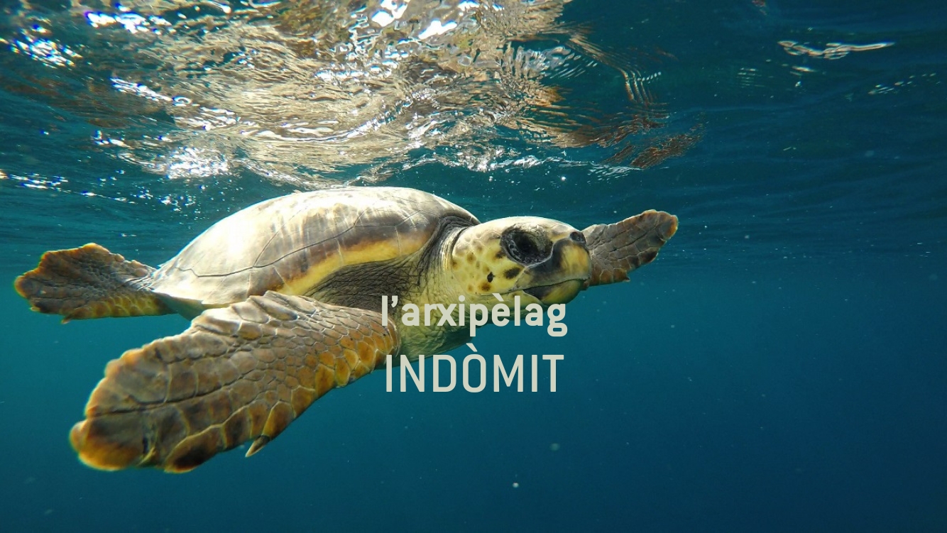 L'arxipèlag indòmit