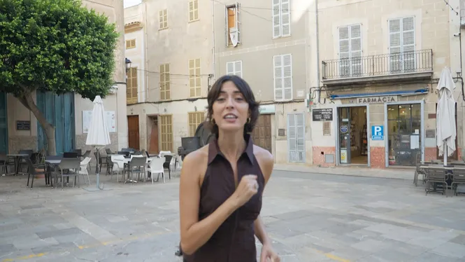 SINEU