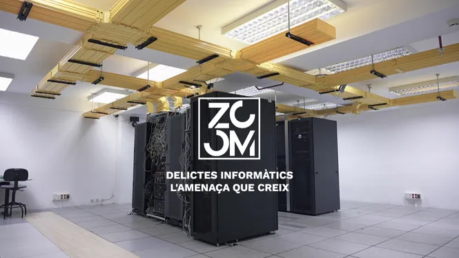 Delictes informàtics, l'amenaça que creix