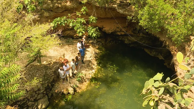 CONEIXEREM UN PAGÈS MOLT ANIMALER DE CONSELL, VEUREM UN CENOTE A CAMPOS I PREPARAREM UN MENJAR MOLT ESPECIAL PER GALLINES A ESPORLES