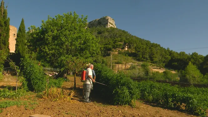 PAGESIA I ARTESANIA A S'HORTA, SOPES DE MISSER AL PUIG DE SANTA MAGDALENA, I HORT D'ESTIU A SANTA EUGÈNIA