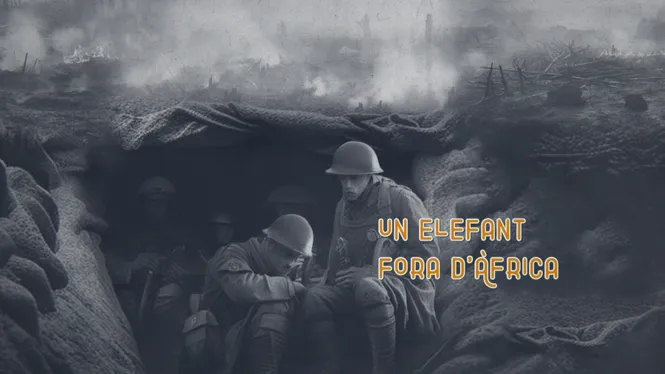 Un elefant fora d'Àfrica