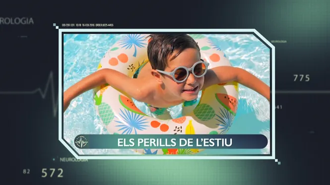 ELS PERILLS DE L'ESTIU