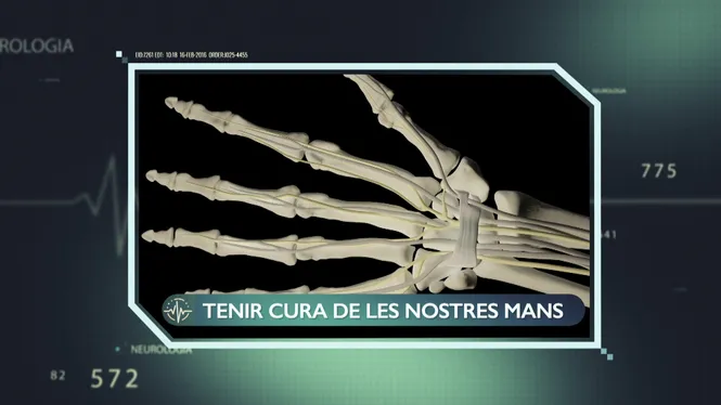 LES MANS, UNA PART QUE EMPRAM PER TOT